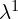 \lambda^1