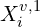 X_i^{v,1}