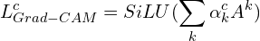$$L_{Grad-CAM}^c = SiLU( \sum_k \alpha_k^{c} A^k )$$
