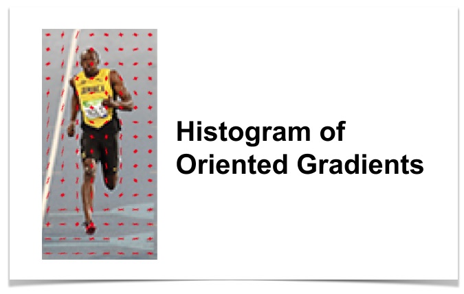 Histogram of Oriented Gradients plotted on a processed image.