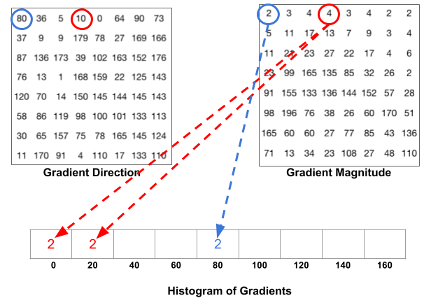 Histogram computation in HOG - selection of bin and values to be added to each bin based on Gradient and Magnitude.