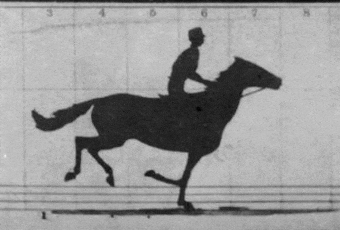 Read, Write and Display a video using OpenCV. Horse in Motion : First real time motion sequence captured