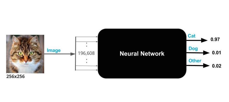 Neural Network as a Black Box