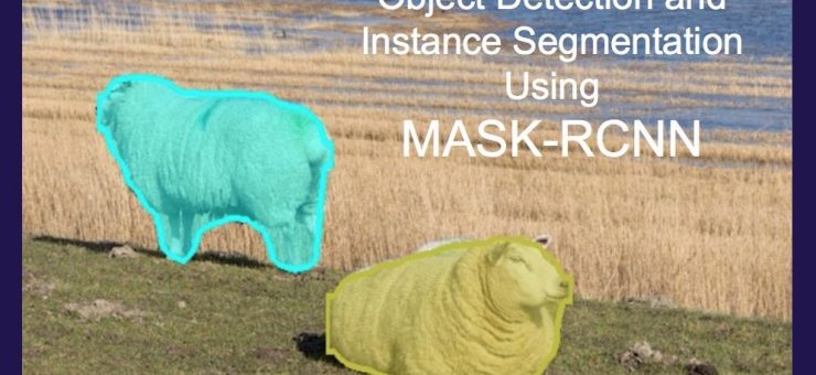 Instance Segmentation using Mask R-CNN