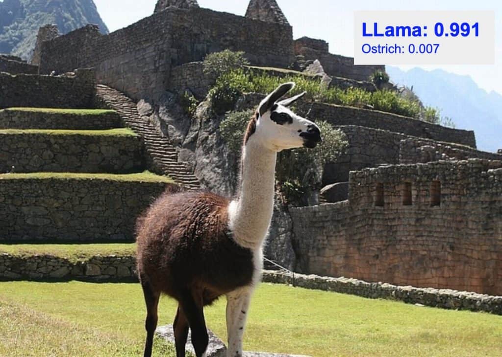 Image classification - llama