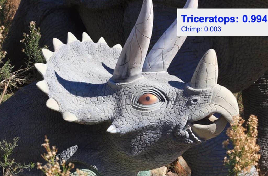 Image classification - triceratops