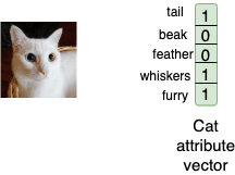 Semantic embedding using attribute vector