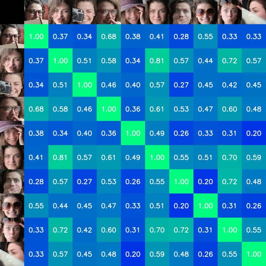 corner cases - How do you use ArcFace for face recognition?
