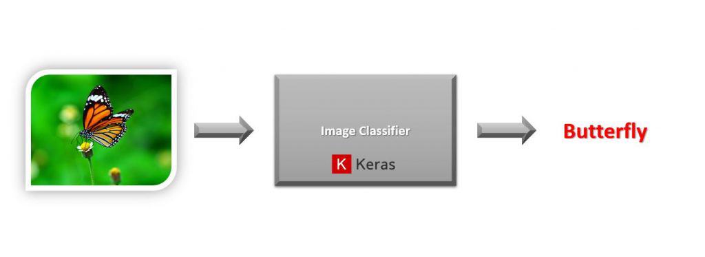 Image classification with keras on a butterfly image