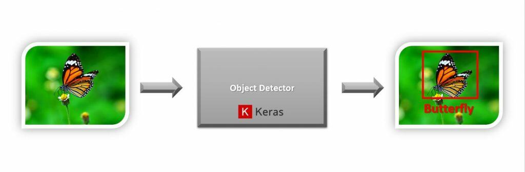 Object Detection with keras on a butterfly image.