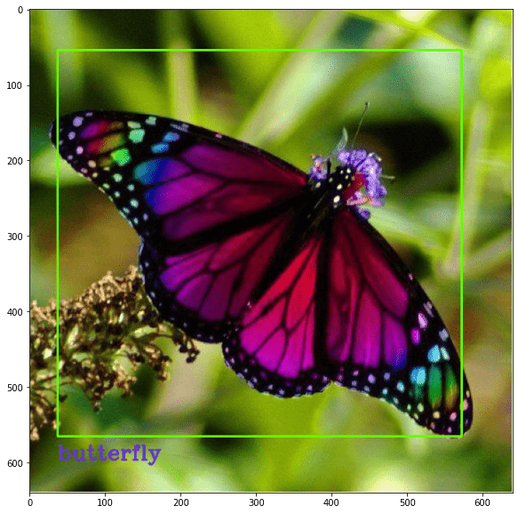 Detection of a butterfly in an image