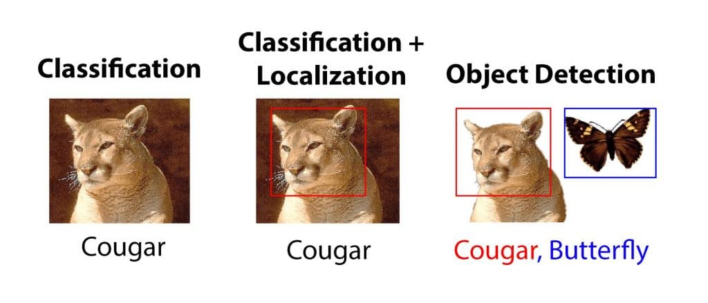 Classification and Localization together forms Object Detection