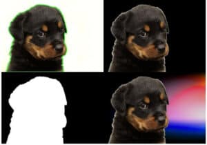 Contour Detection using OpenCV (Python/C++)