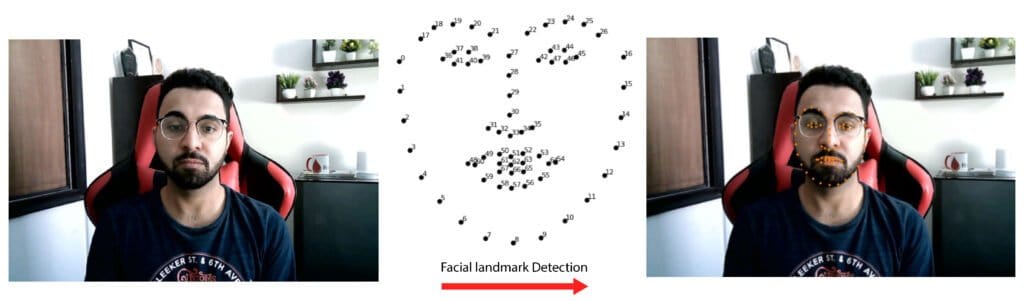 Facial Landmark Detection