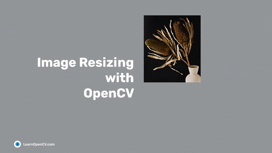 Image Resizing with OpenCV