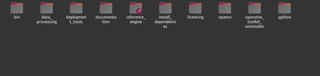Image showing the The OpenVINO installation directory.