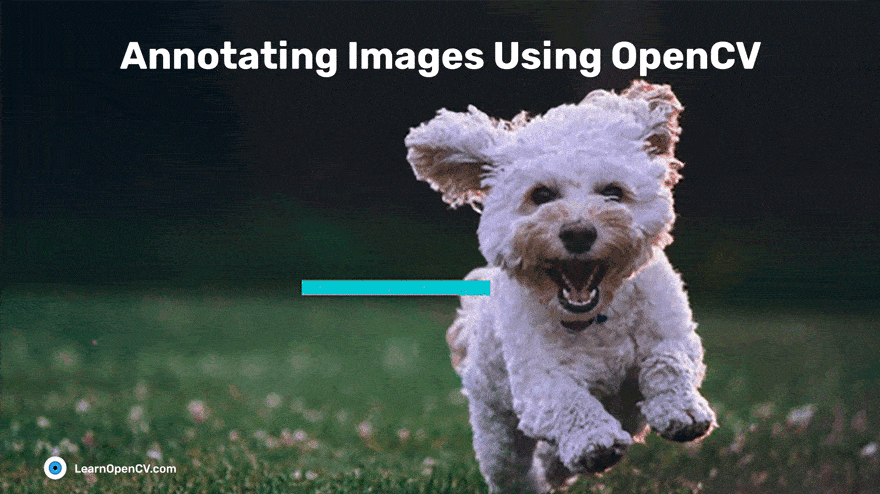 Annotating Images Using OpenCV