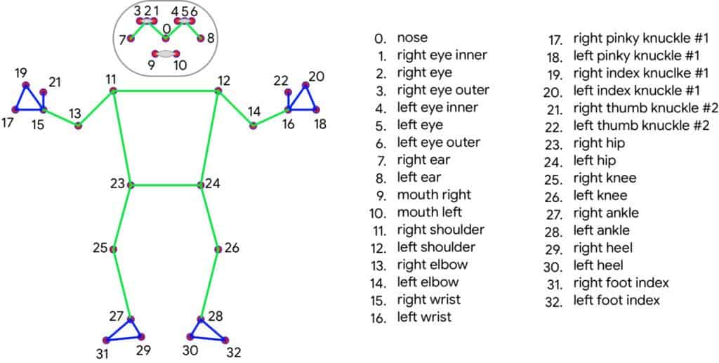 Body Posture Detection BlazePose topology landmarks