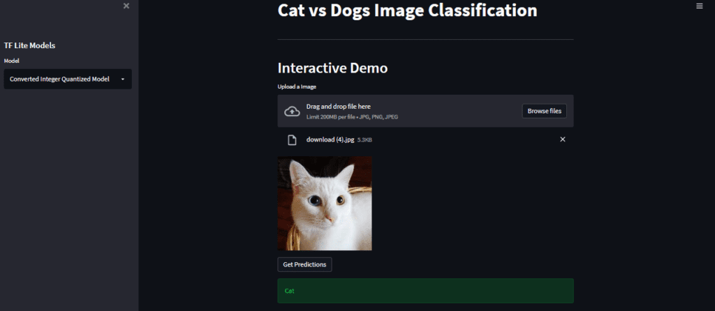 Getting Prediction on the web app - TensorFlow Lite Model