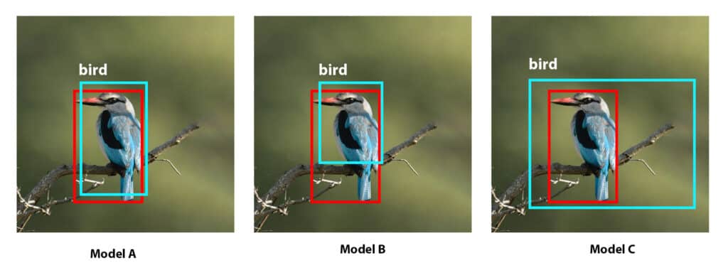 Intersection Over Union IoU Bird detection by various models