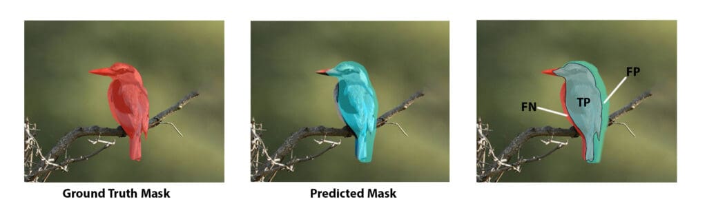 Bird segmentation mask for calculation of Intersection Over Union IoU - intersection over union segmentation