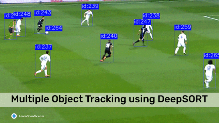 Understanding Multiple Object Tracking using DeepSORT