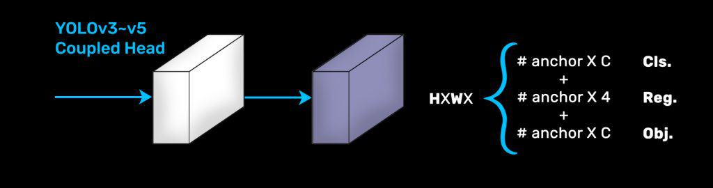 shared head architecture of YOLO