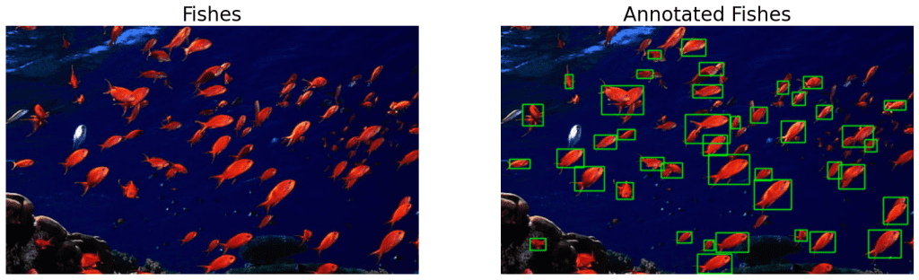 annotated fishes image annotation tool