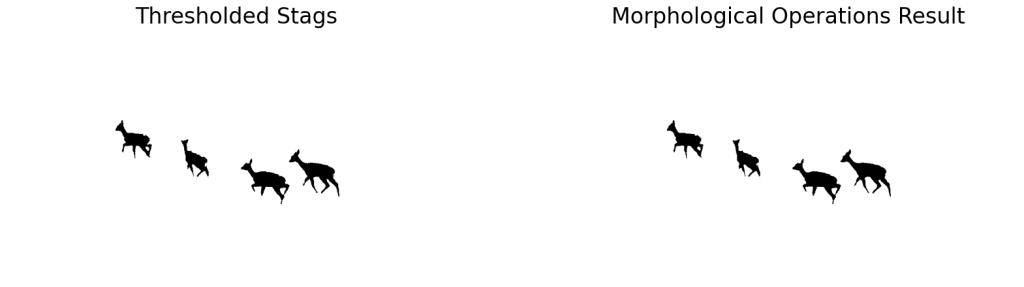 Performing morphological operations on thresholded stags