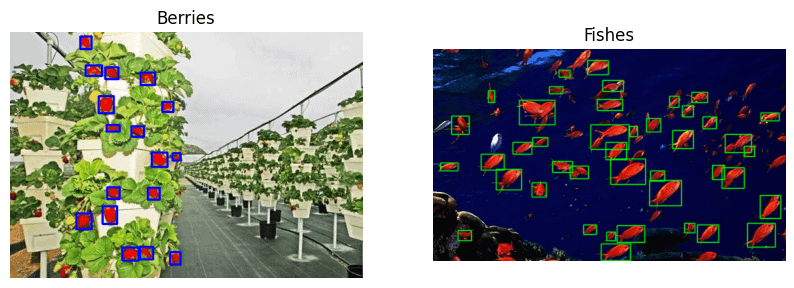 straw berries and school of neon fishes annotated using pyOpenAnnotate annotation tool
