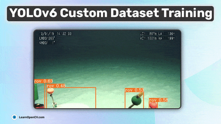 YOLOv6 Custom Dataset Training