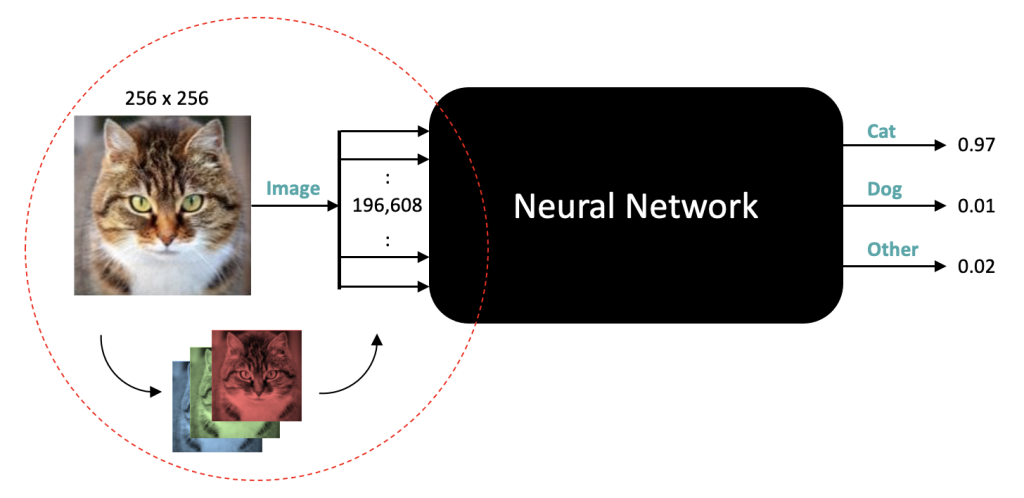 An overview of how neural networks process inputs.
