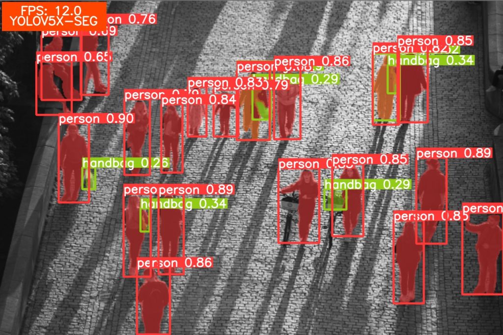 YOLOv5 Extra Large instance segmentation result.