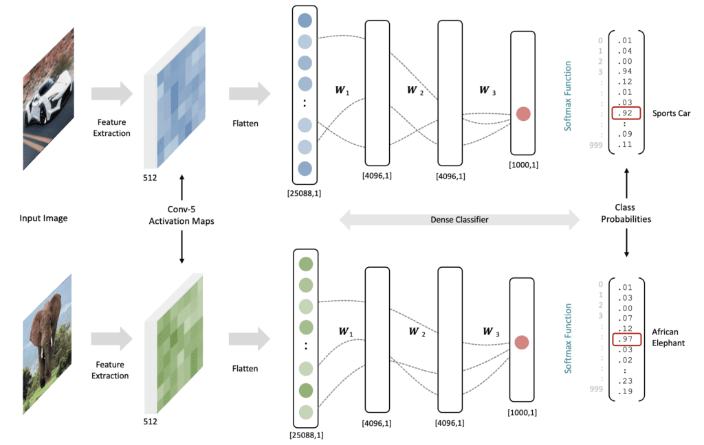 Working of Convolutional Neural Networks on different images.