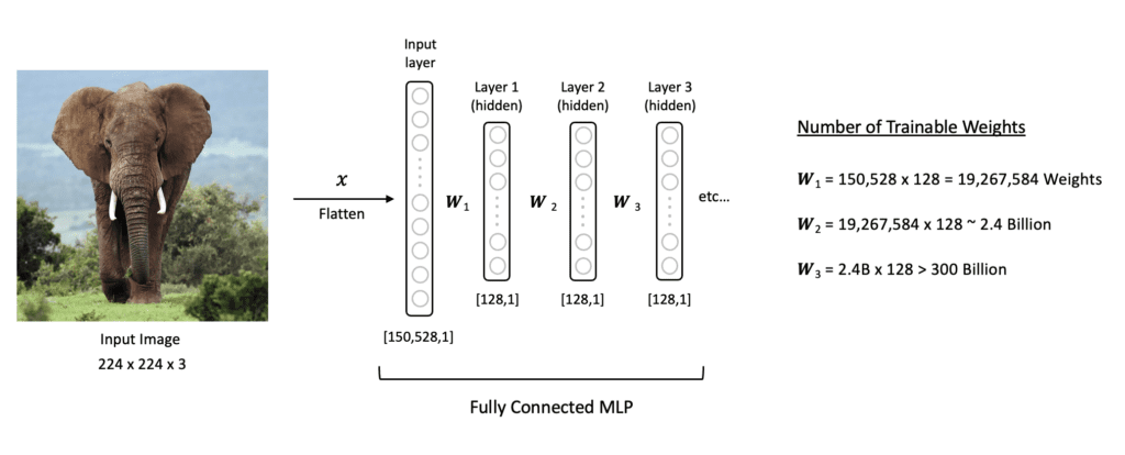 MLPs having high number of weights when training on images