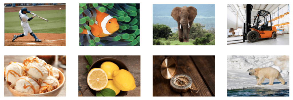 Sample images for pre-trained ImageNet models