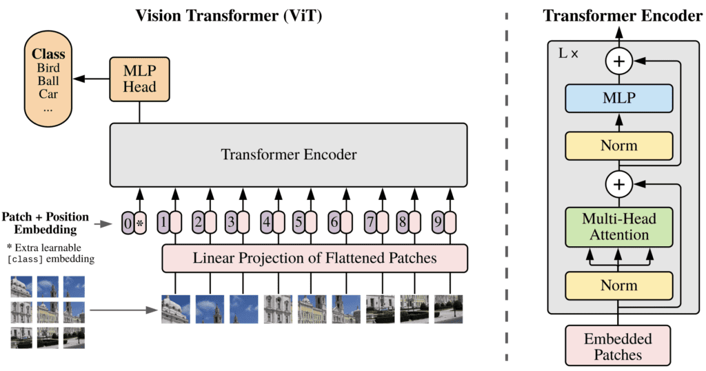 The architecture of the vision transformer model proposed by Dosovitskiy et. al