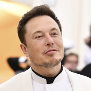 elon musk face image 3