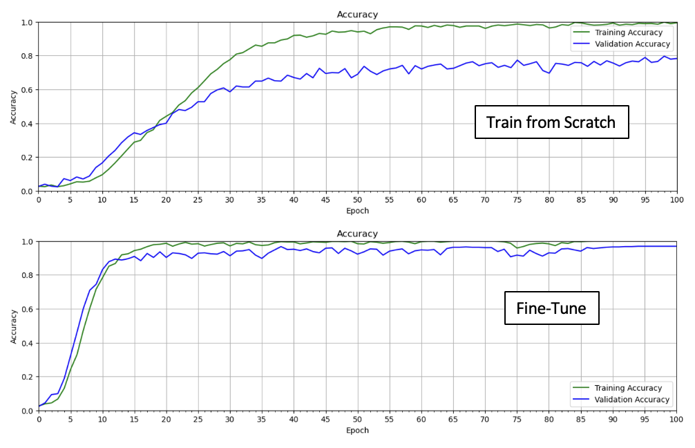 Unlock the Power of Fine-Tuning Pre-Trained Models in TensorFlow