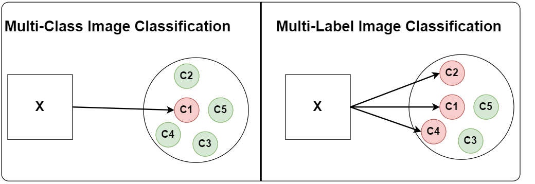 Medical Multi-label Classification With PyTorch & Lightning