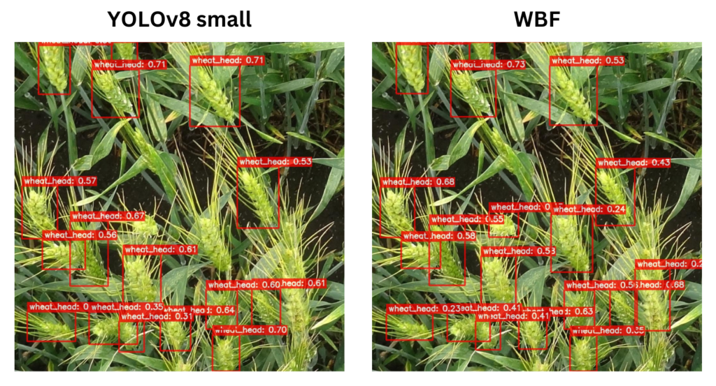 KerasCV YOLOv8 small vs Weighted Boxes Fusion Example 1