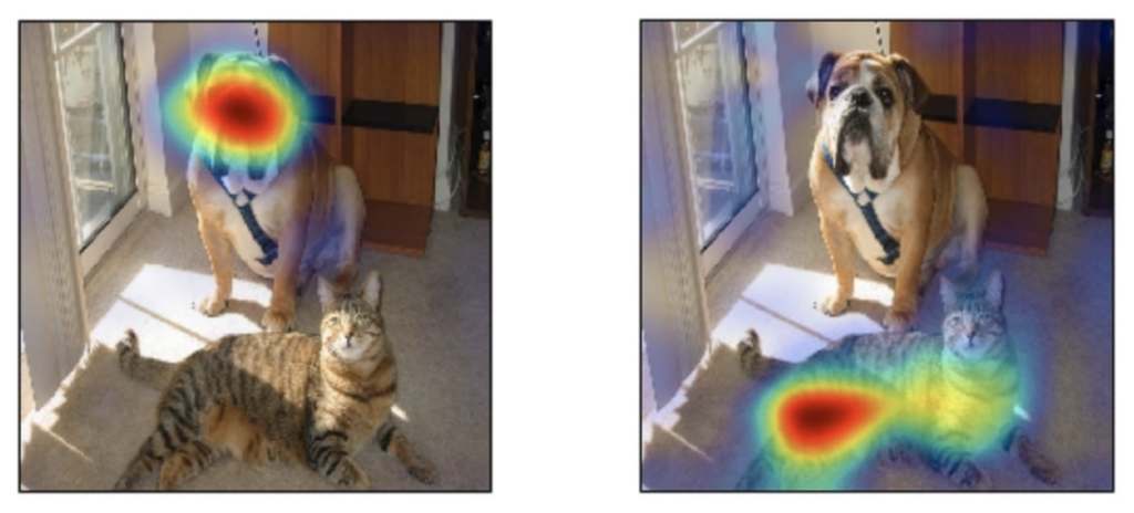 GradCAM output heatmap for dog (left) and cat (right)