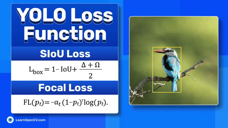 yolo loss function featured image