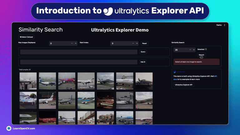 Ultralytics Explorer API