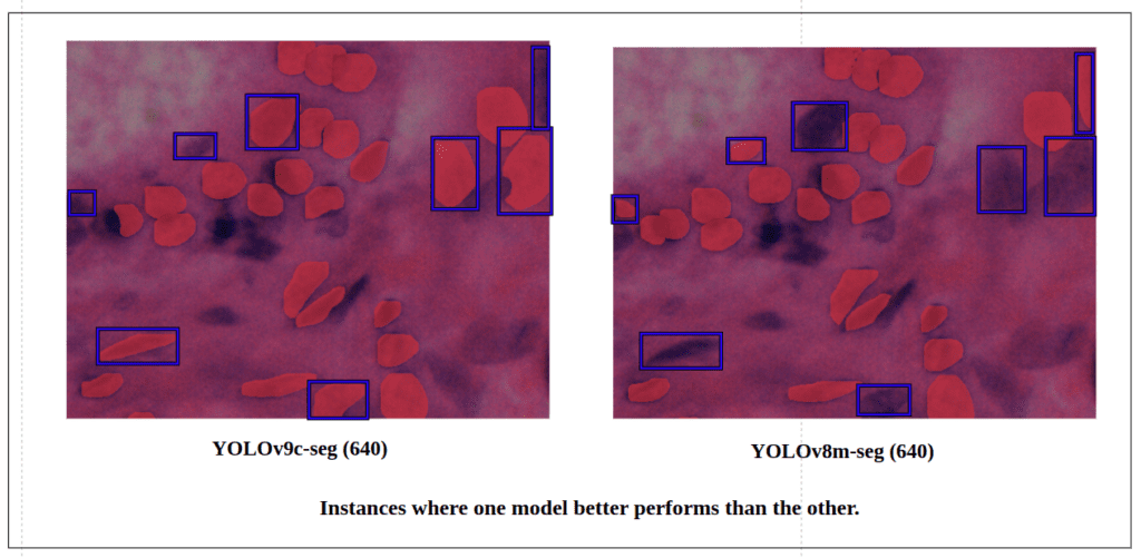 yolov9 instance segmentation -Quantitative detection difference between YOLOv9c-seg v/s YOLOv8m-seg