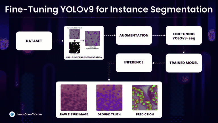 Fine Tuning YOLOv9 Segmentation