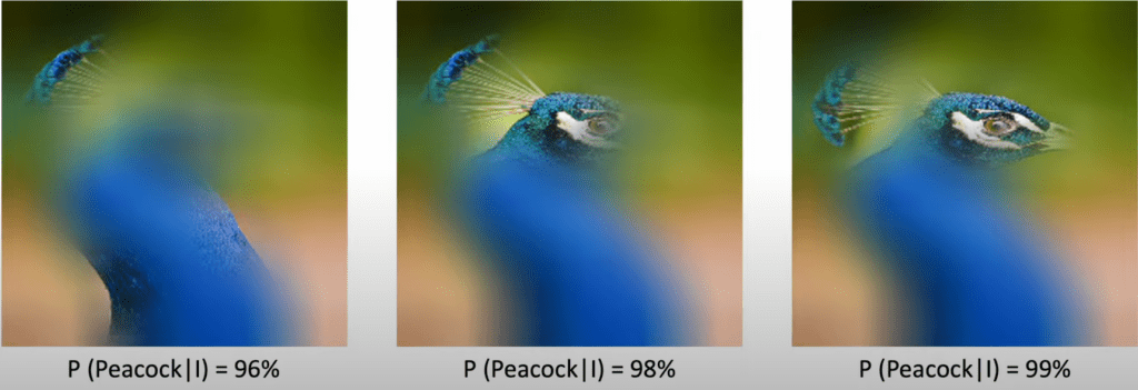 Structural Attention Graphs (SAG) - Computer Vision research - Comparing the Decision-Making Mechanisms by Transformers and CNNs via Explanation Methods