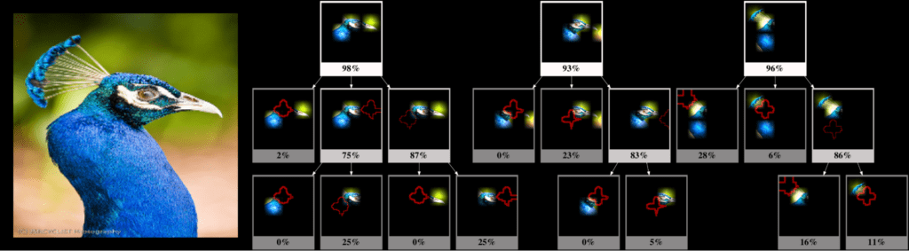 Sub Explanation Counting - MSE - Comparing the Decision-Making Mechanisms by Transformers and CNNs via Explanation Methods - AI research trends 2024
