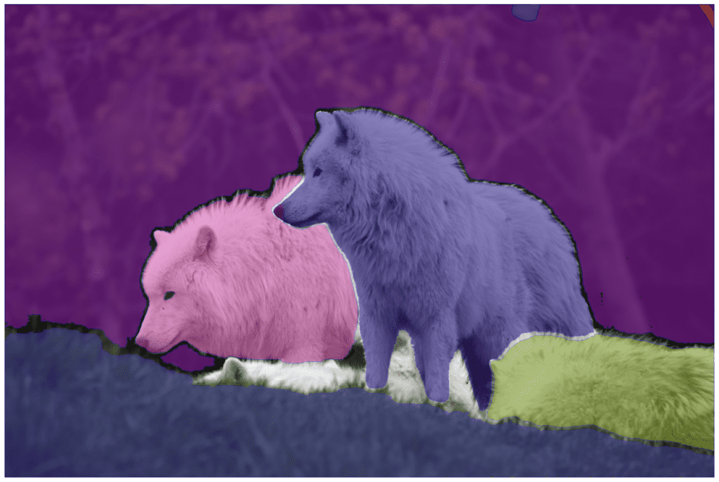 Image inference result 2 (on animals) using Segment Anything Model 2.