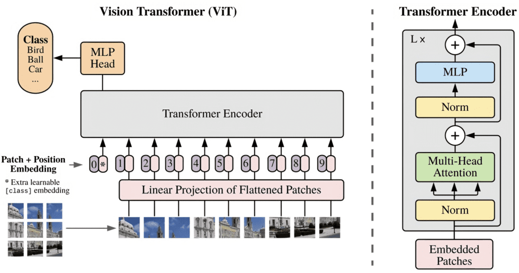 Understanding  ViT - Vision Transformer internal architecture for CLIP Vision Encoder - How to train a CLIP model from scratch